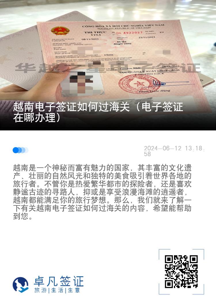 越南电子签证如何过海关（电子签证在哪办理）