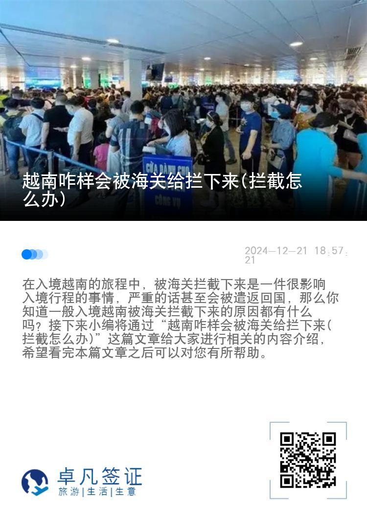 越南咋样会被海关给拦下来(拦截怎么办)